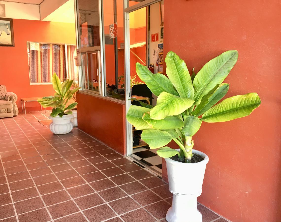 Hotel Bahia De La Paz Exterior photo